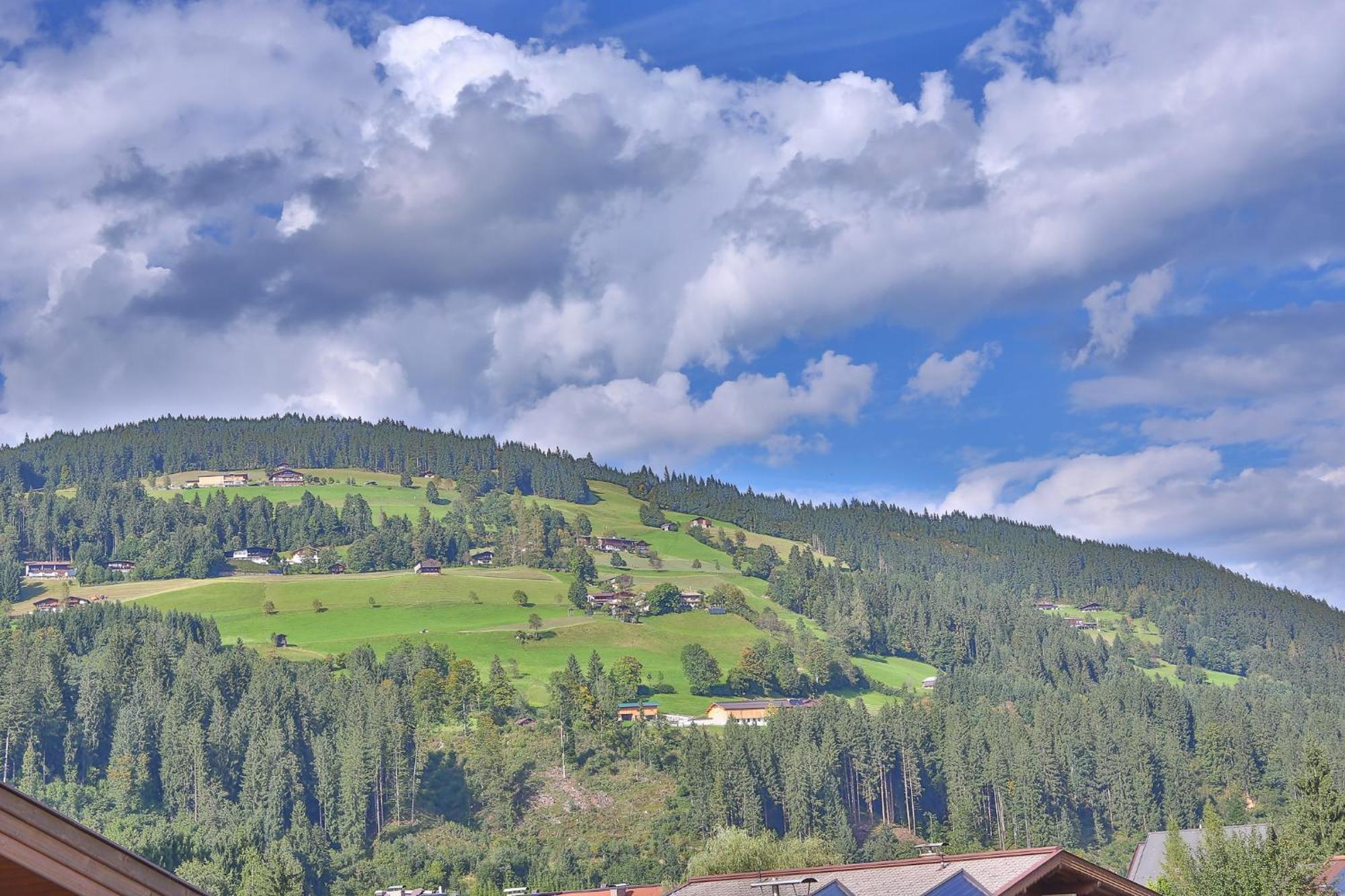Апартаменты Alpen Glueck Schloessl Unterm Rain Кирхберг Номер фото